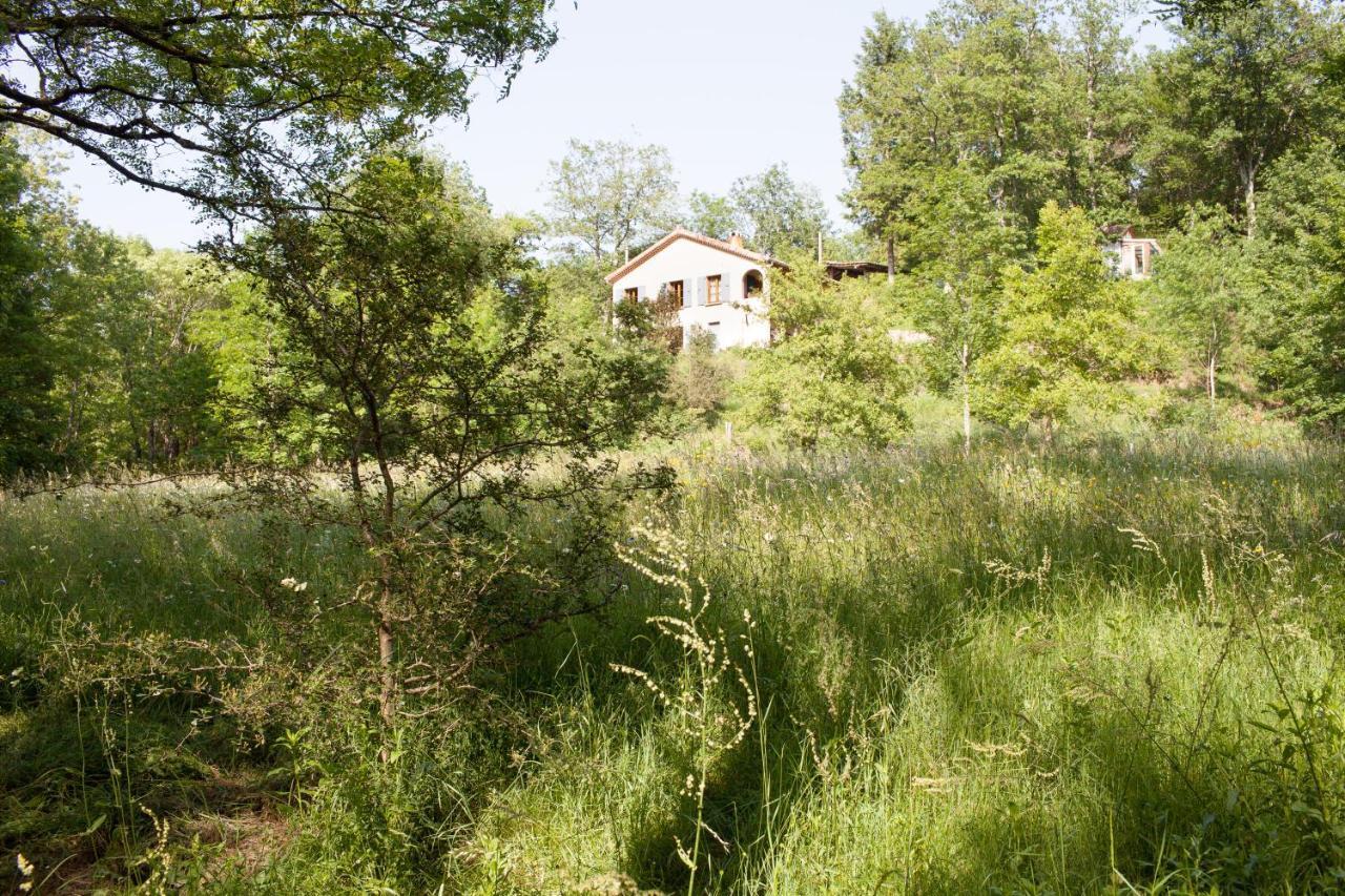 Villa Domaine Liberte Avec Prairie Et Foret Au Bord D'Une Riviere En Ardeche Silhac Dış mekan fotoğraf