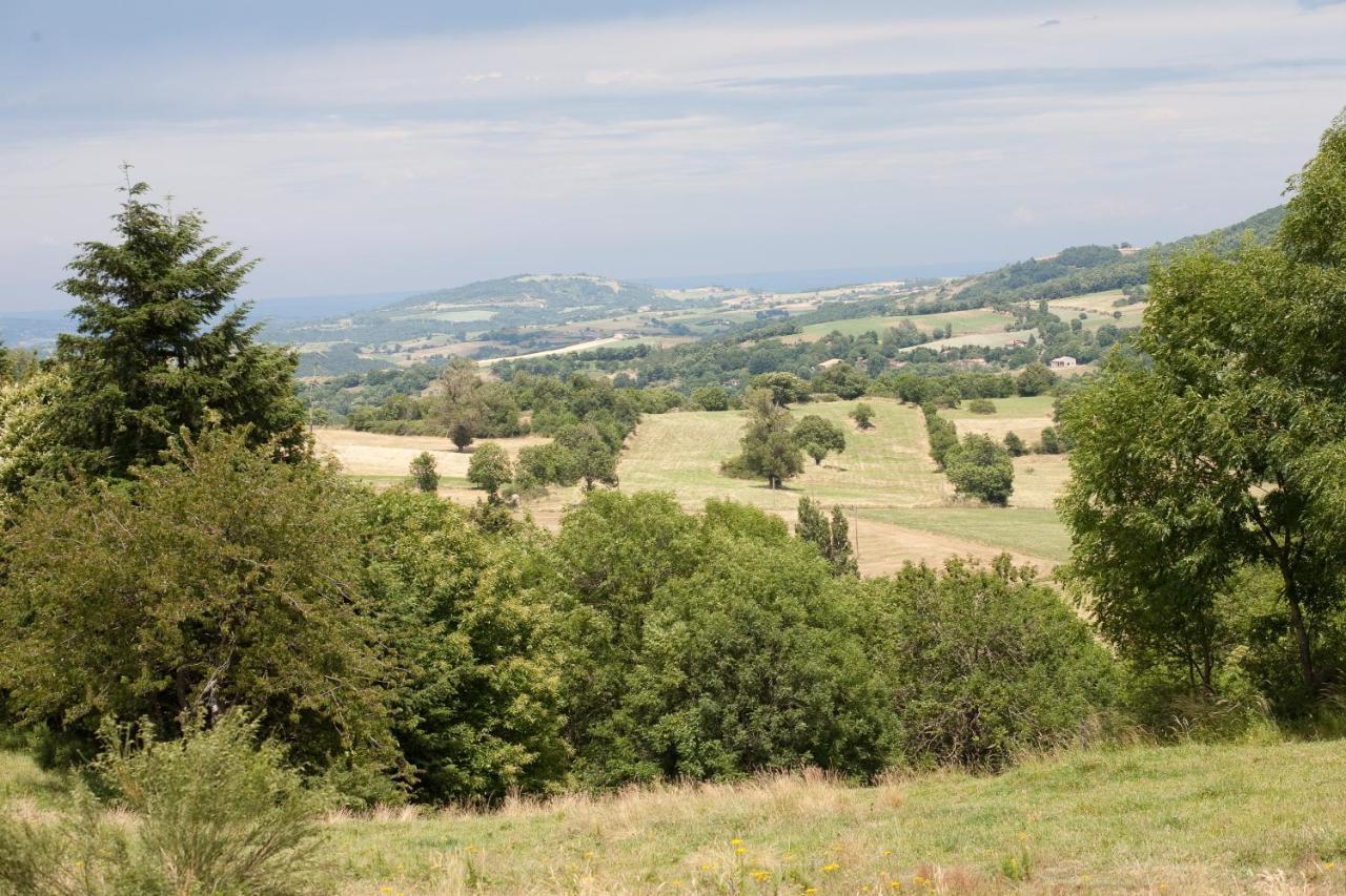 Villa Domaine Liberte Avec Prairie Et Foret Au Bord D'Une Riviere En Ardeche Silhac Dış mekan fotoğraf