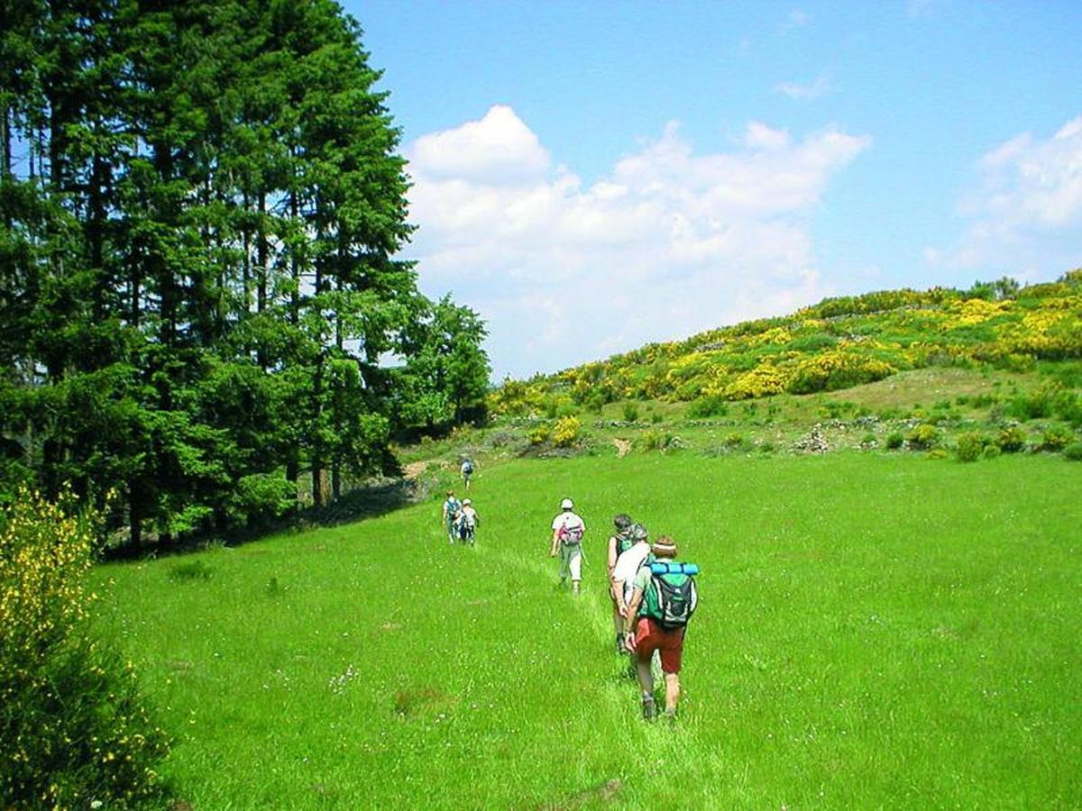 Villa Domaine Liberte Avec Prairie Et Foret Au Bord D'Une Riviere En Ardeche Silhac Dış mekan fotoğraf