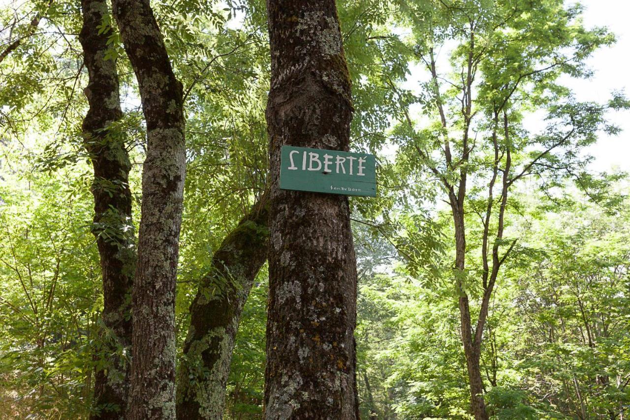 Villa Domaine Liberte Avec Prairie Et Foret Au Bord D'Une Riviere En Ardeche Silhac Dış mekan fotoğraf