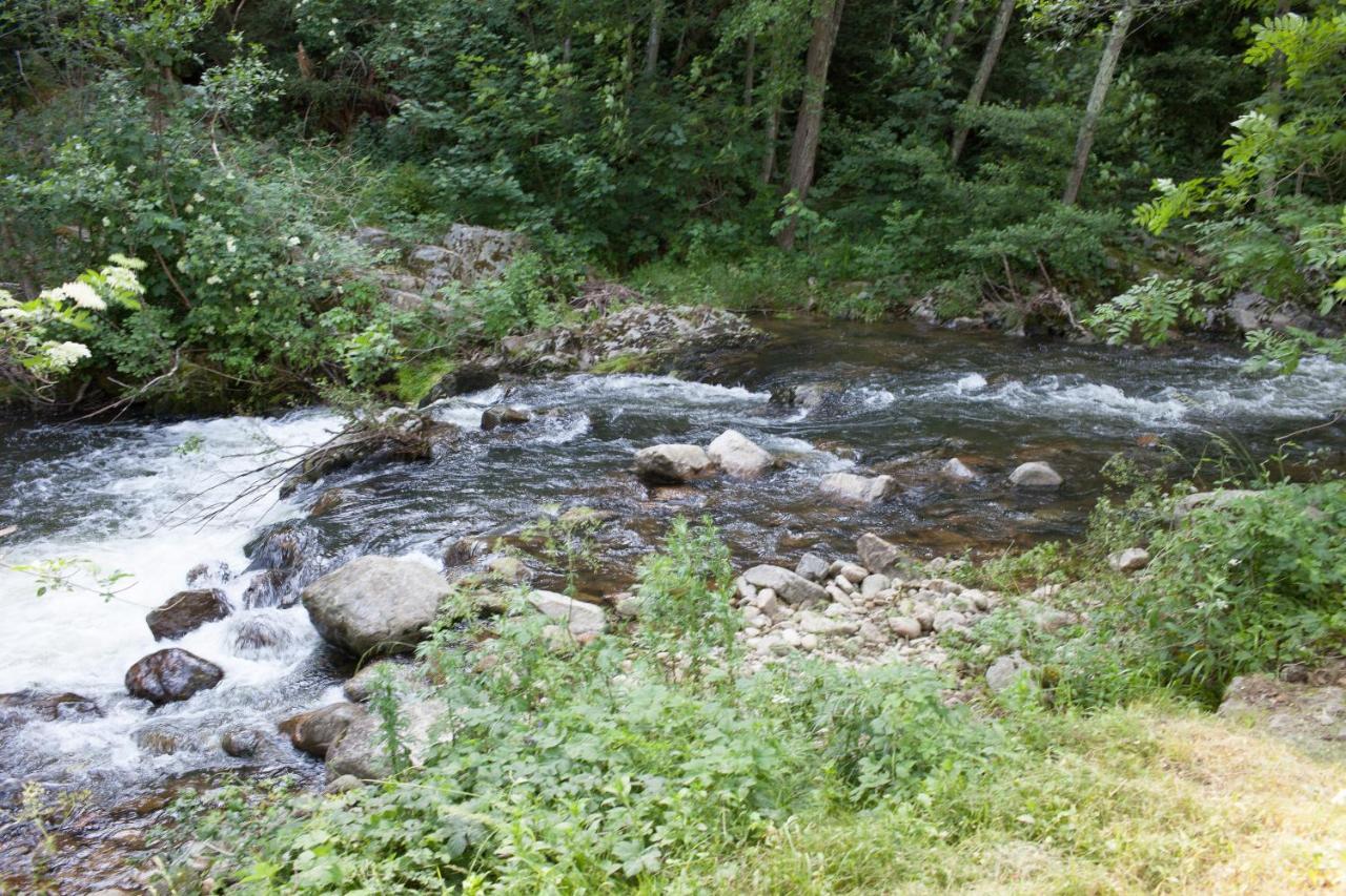 Villa Domaine Liberte Avec Prairie Et Foret Au Bord D'Une Riviere En Ardeche Silhac Dış mekan fotoğraf
